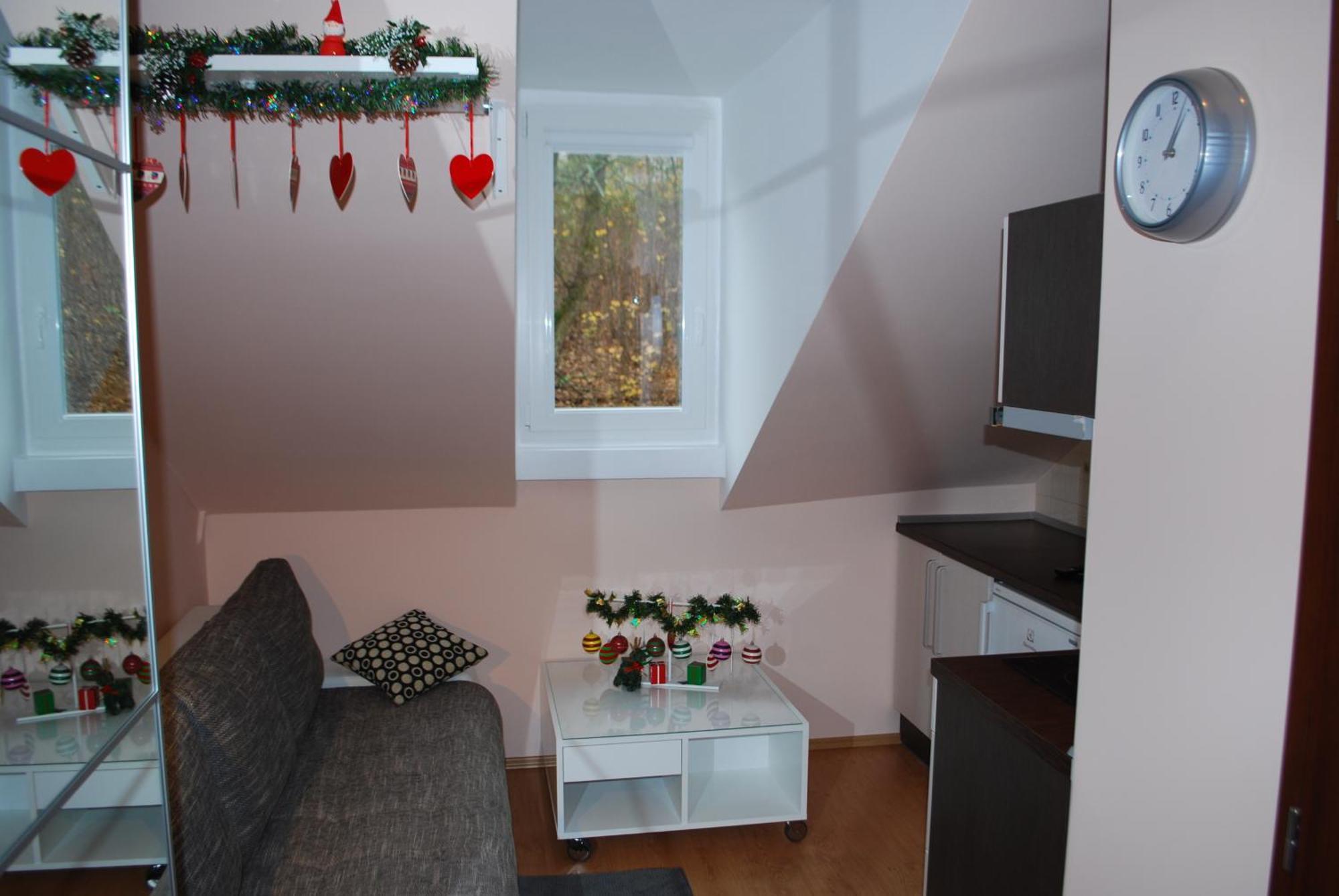 Jurincom Apartments Karlovy Vary Cameră foto